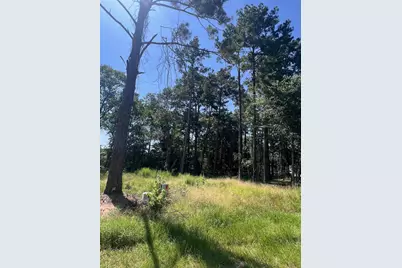 1981 La Salle Park Drive, Conroe, TX 77304 - Photo 6