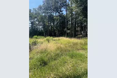 1981 La Salle Park Drive, Conroe, TX 77304 - Photo 10