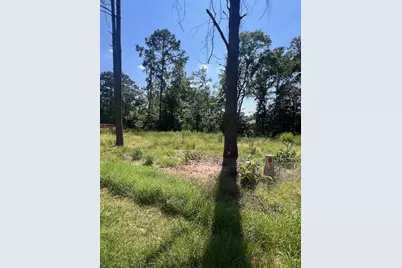 1981 La Salle Park Drive, Conroe, TX 77304 - Photo 8