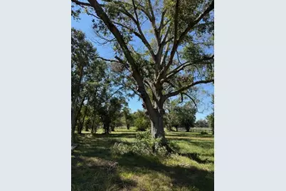 21603 Chenango Lake Drive, Angleton, TX 77515 - Photo 4