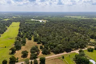 2751 FM 2434, Columbus, TX 78962 - Photo 1