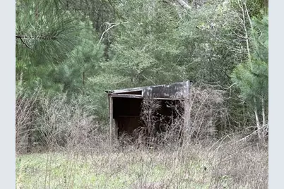 185 County Road 4005, Woodville, TX 75979 - Photo 6