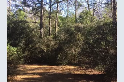 777 County Road 1100, Woodville, TX 75979 - Photo 6