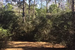 777 Co Rd 1100, Woodville, TX 75979 - Photo 6