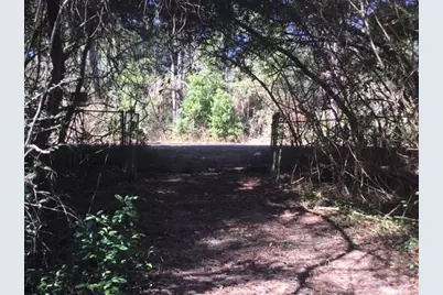 777 County Road 1100, Woodville, TX 75979 - Photo 8