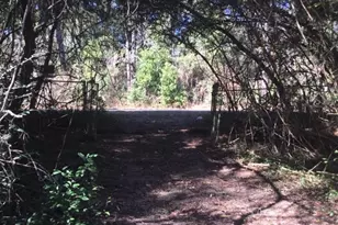 777 Co Rd 1100, Woodville, TX 75979 - Photo 8