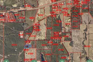 777 Co Rd 1100, Woodville, TX 75979 - Photo 22