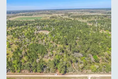 3656 Luthe Road, Bedias, TX 77831 - Photo 2