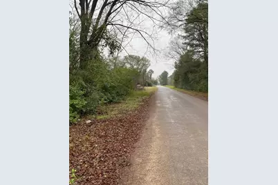 00 Cochran Street, Shepherd, TX 77371 - Photo 6
