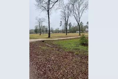 00 Cochran Street, Shepherd, TX 77371 - Photo 4