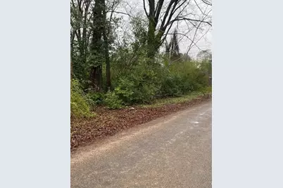 00 Cochran Street, Shepherd, TX 77371 - Photo 2