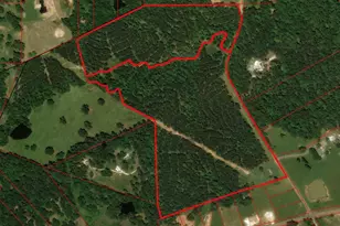 Tract 129/130 Fenley Flat Rd, Pollok, TX 75969 - Photo 1