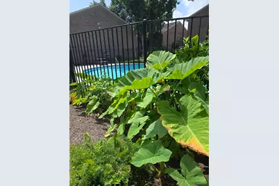 12955 Woodforest Boulevard #81, Houston, TX 77015 - Photo 12