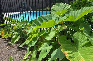 12955 Woodforest Blvd, Houston, TX 77015 - Photo 12