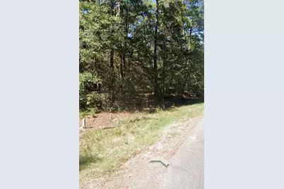 110 Pine Point Circle, Onalaska, TX 77360 - Photo 18