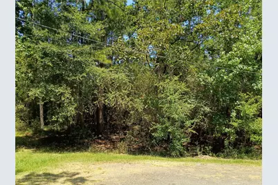 110 Pine Point Circle, Onalaska, TX 77360 - Photo 6
