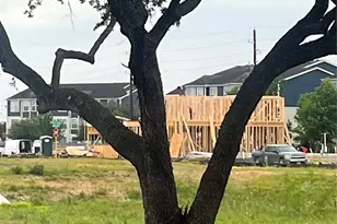 14733 Blooming Jasmine Trail, Houston, TX 77082 - Photo 8