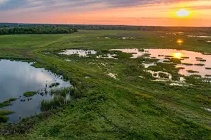 8746 Parkway Forest Dr, Houston, TX 77044 - Photo 6