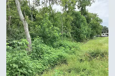 00 Palmetto Road, Manvel, TX 77578 - Photo 12