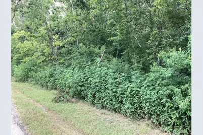 00 Palmetto Road, Manvel, TX 77578 - Photo 10