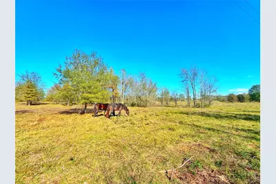 664 Cr 3355, Crockett, TX 75835 - Photo 38