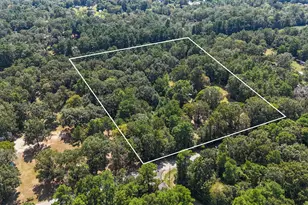 23161 Henson Rd, Montgomery, TX 77356 - Photo 10