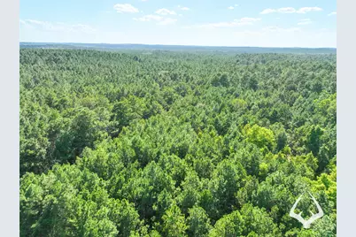 1698 County Road 2975, Colmesneil, TX 75938 - Photo 46