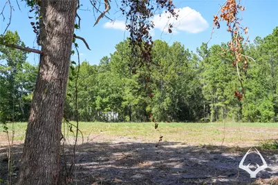 1698 County Road 2975, Colmesneil, TX 75938 - Photo 28