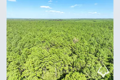 1698 County Road 2975, Colmesneil, TX 75938 - Photo 6