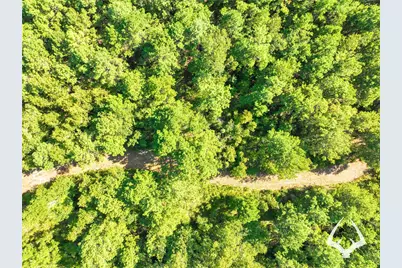 1698 County Road 2975, Colmesneil, TX 75938 - Photo 8
