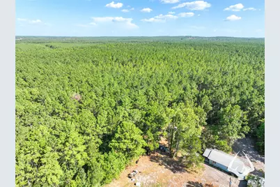 1698 County Road 2975, Colmesneil, TX 75938 - Photo 22