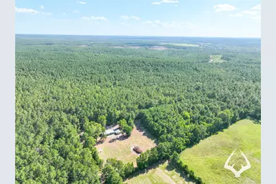 1698 County Road 2975, Colmesneil, TX 75938 - Photo 16