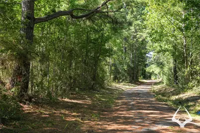 1698 County Road 2975, Colmesneil, TX 75938 - Photo 4