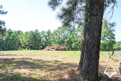1698 County Road 2975, Colmesneil, TX 75938 - Photo 44