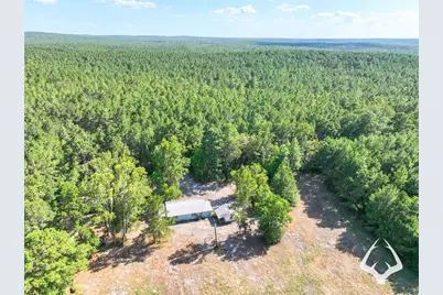 1698 County Road 2975, Colmesneil, TX 75938 - Photo 20
