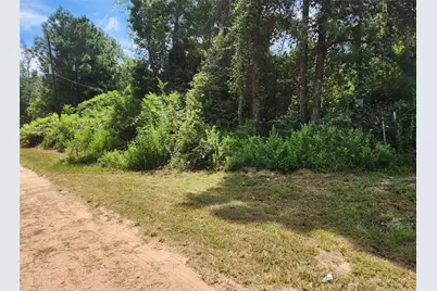 Lot 27 Mayhaw Lane, Plantersville, TX 77363 - Photo 12