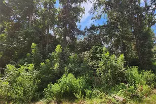 Lot 27 Mayhaw Ln, Plantersville, TX 77363 - Photo 1