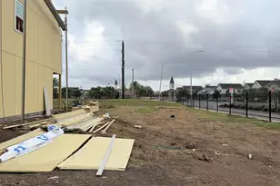 11409 Lucky Fls Dr, Houston, TX 77047 - Photo 2