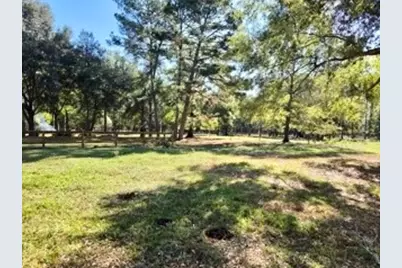 441 Wonderland Drive, Shepherd, TX 77371 - Photo 2