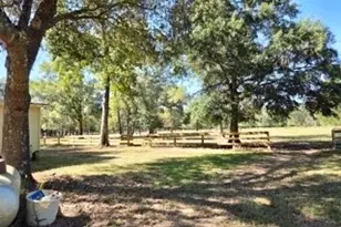 441 Wonderland Dr, Shepherd, TX 77371 - Photo 6