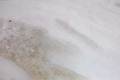 5309 Eigel Street, Houston, TX 77007 - Photo 20