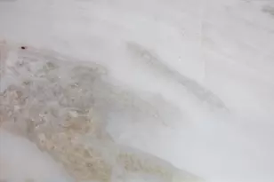 5309 Eigel St, Houston, TX 77007 - Photo 20