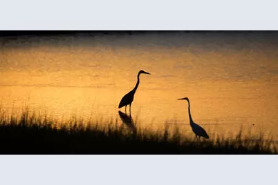 2 Little Torch, Hitchcock, TX 77563 - Photo 48