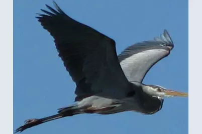 2 Little Torch, Hitchcock, TX 77563 - Photo 46