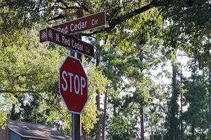 995 N Red Cedar Cir, The Woodlands, TX 77380 - Photo 6