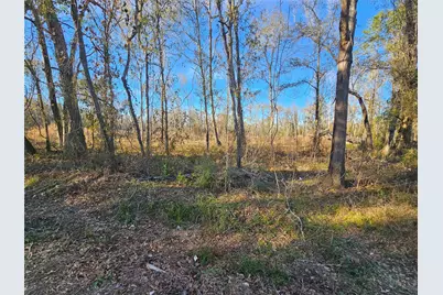 Lot 47 Sherwood Drive, Shepherd, TX 77371 - Photo 6