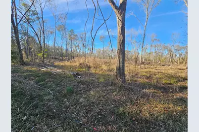 Lot 47 Sherwood Drive, Shepherd, TX 77371 - Photo 4