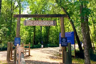 126 Keechie Creek, Conroe, TX 77304 - Photo 36