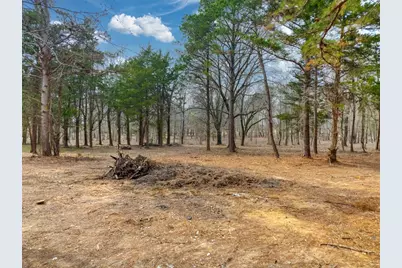 0 County Road 152 W, Bullard, TX 75757 - Photo 2