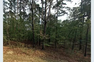 58 S Pine Harbour Drive, Coldspring, TX 77331 - Photo 1